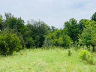 Early, TX 76802,tbd Homewood Circle