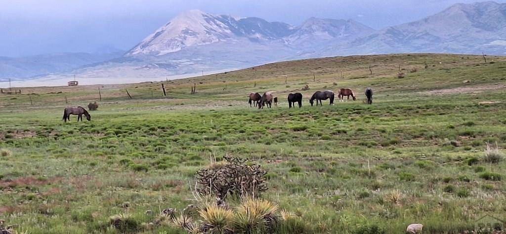 Walsenburg, CO 81089,TBD West Winds Rd