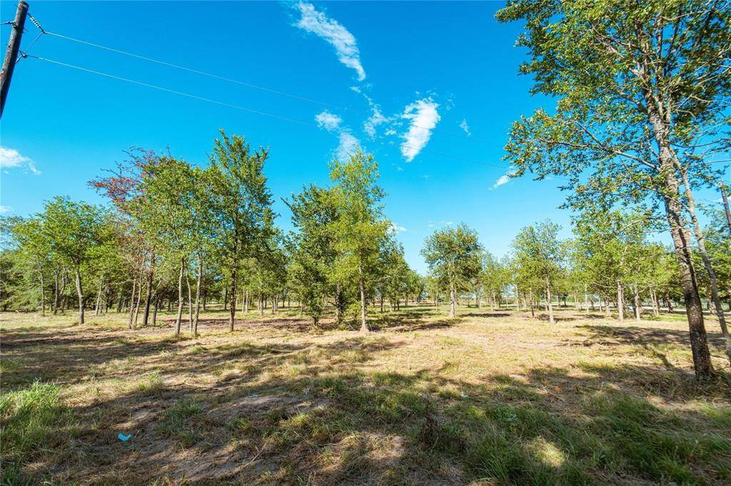 Gainesville, TX 76240,Lot 7 CR 297