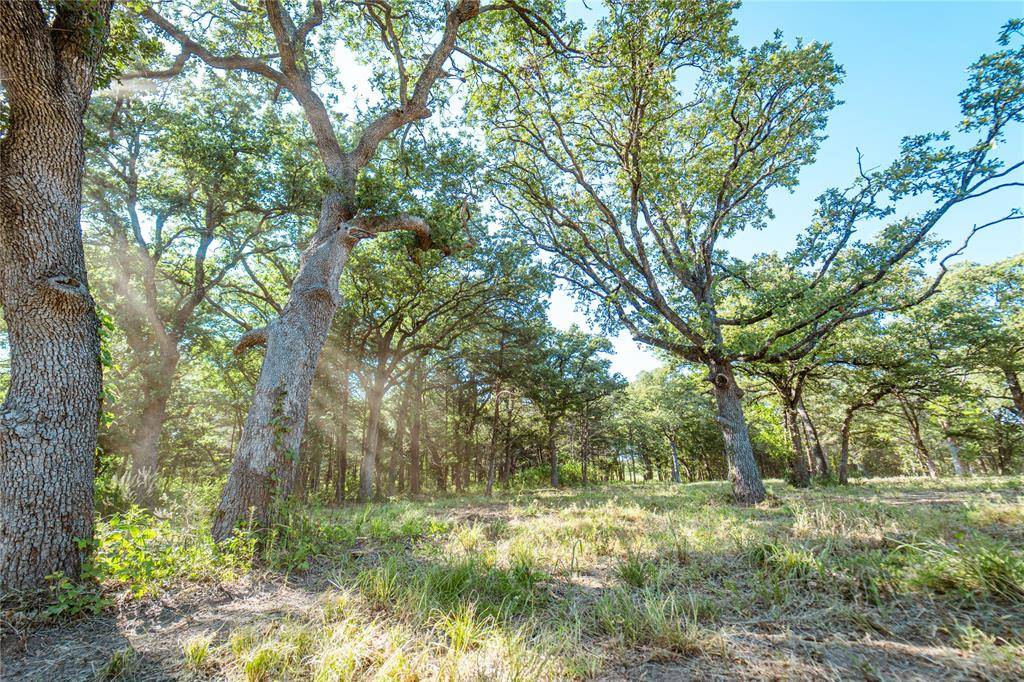 Gainesville, TX 76240,Lot 9 CR 297