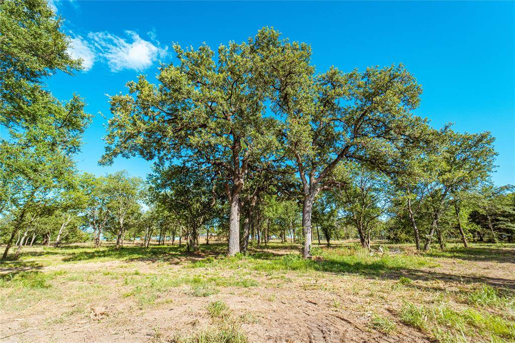 Gainesville, TX 76240,Lot 9 CR 297