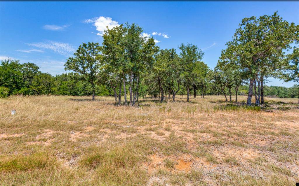 Lipan, TX 76462,271 Creek Meadow Court