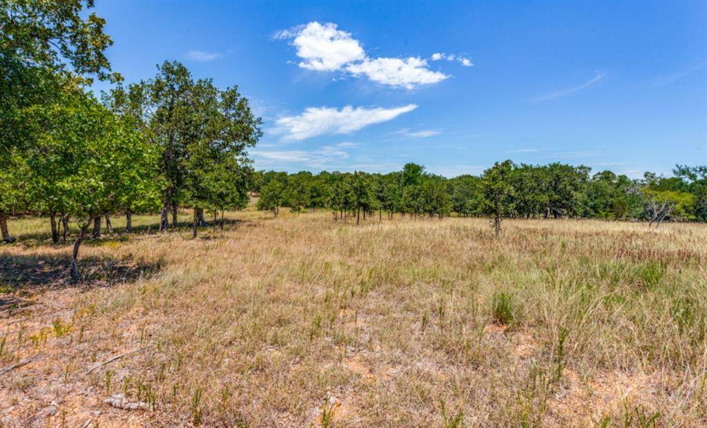 Lipan, TX 76462,271 Creek Meadow Court