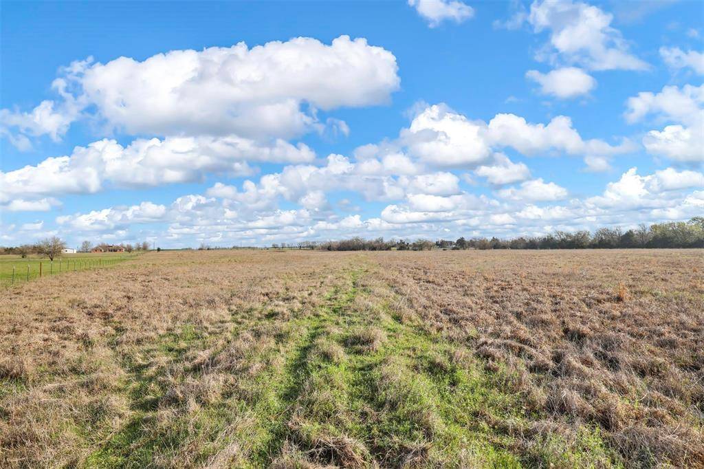 Blue Ridge, TX 75424,TBD Lot 8 County Road 669