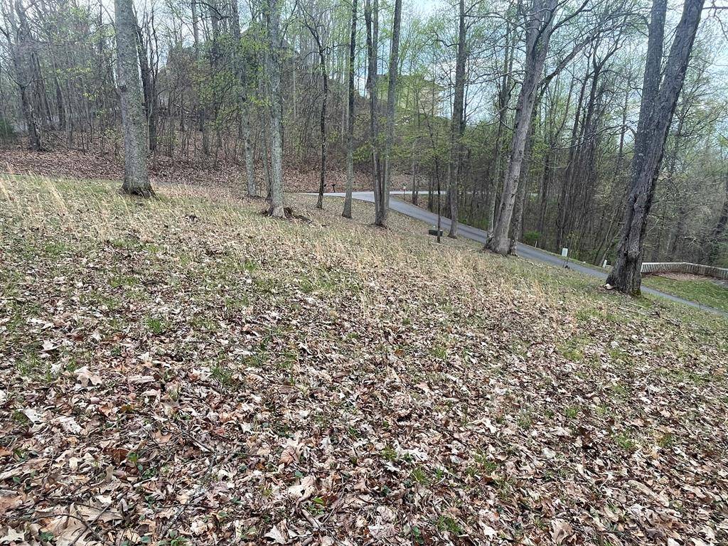 Hayesville, NC 28904,74 Eagles View Smt