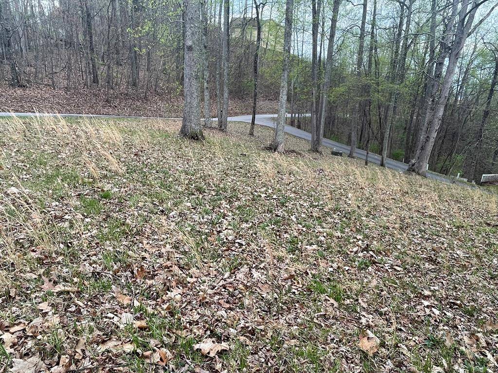 Hayesville, NC 28904,74 Eagles View Smt