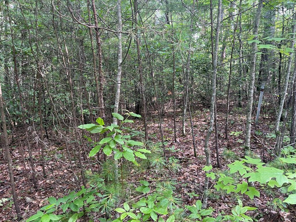 Murphy, NC 28906,Lot 5 Sherwood Forest