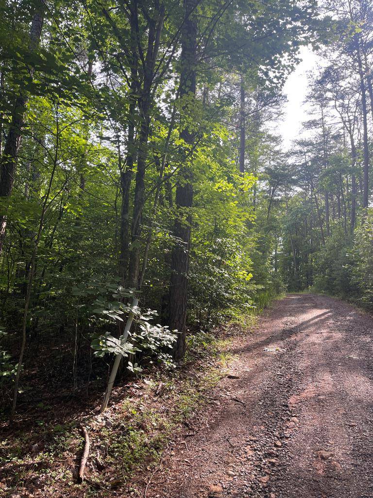 Murphy, NC 28906,Lot 5 Sherwood Forest