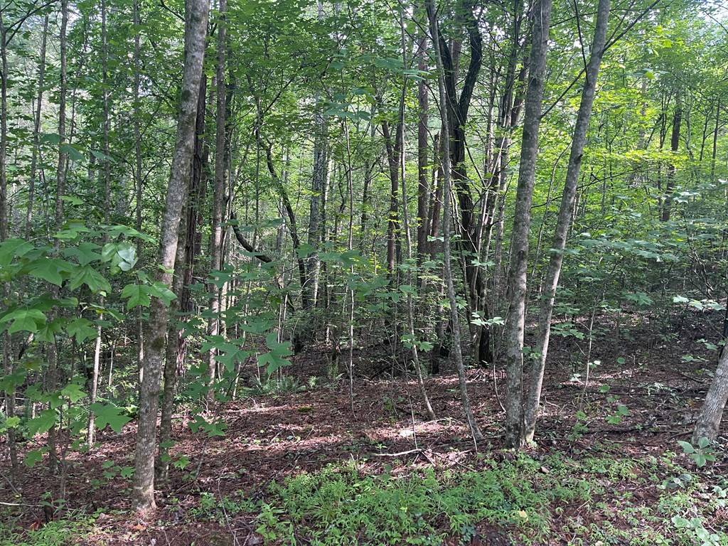 Murphy, NC 28906,Lot 5 Sherwood Forest