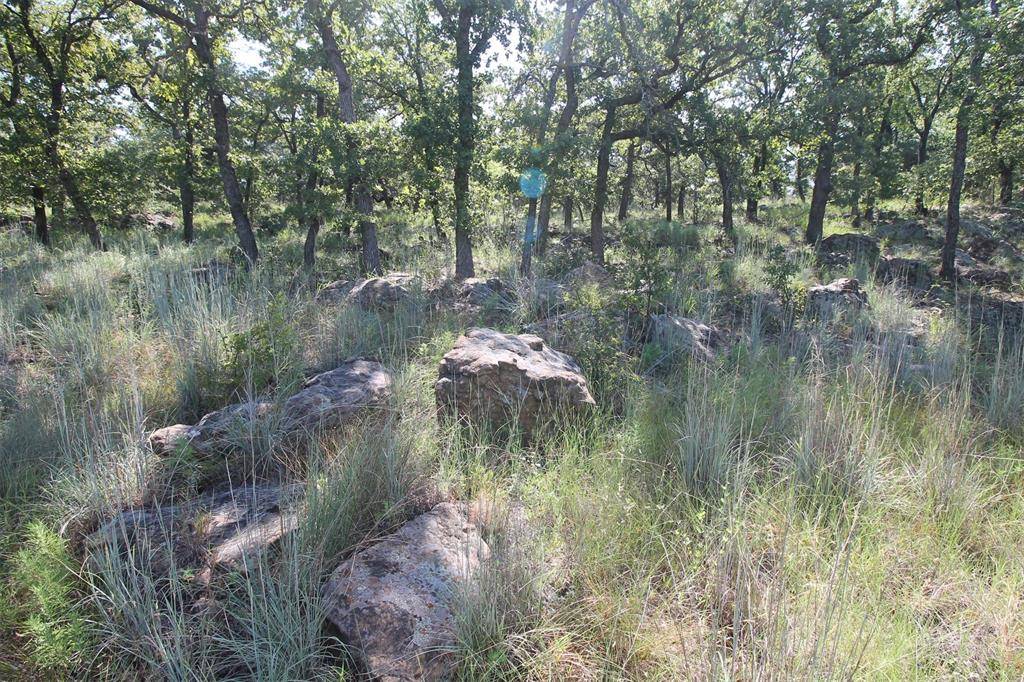 Chico, TX 76431,Lot 265 Ridgeline Drive