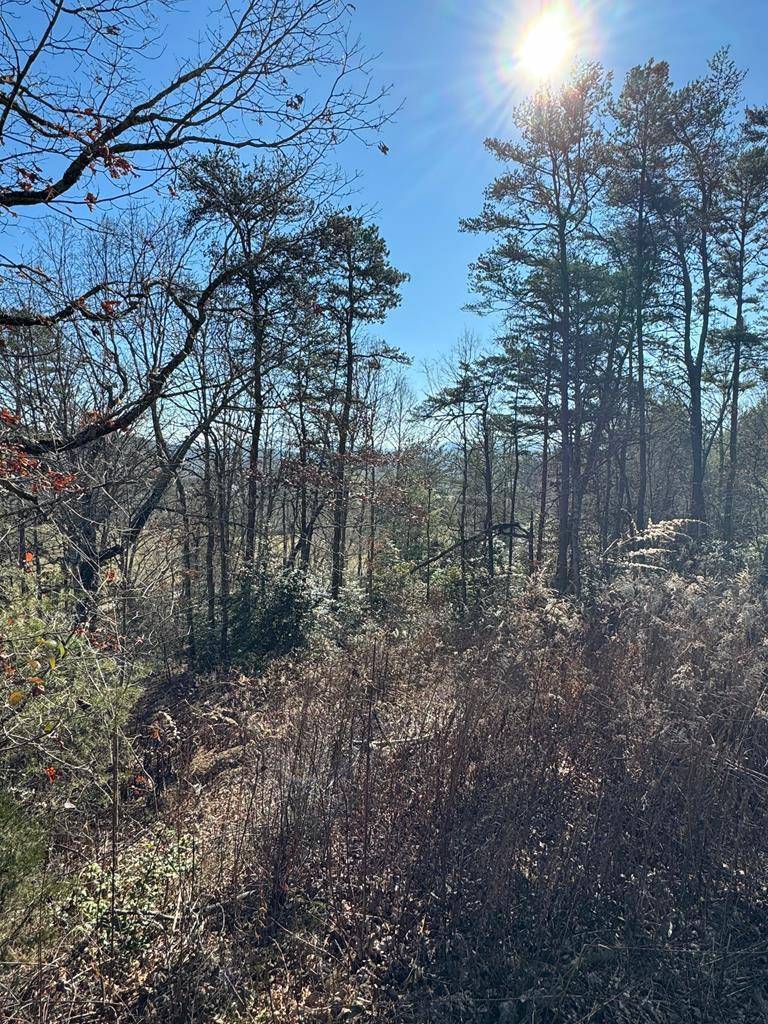 Murphy, NC 28906,000 Mistletoe Rdg