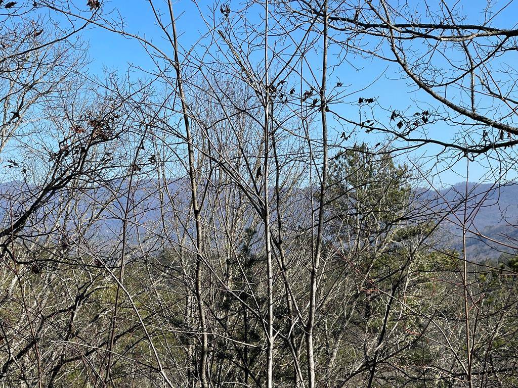 Murphy, NC 28906,000 Mistletoe Rdg