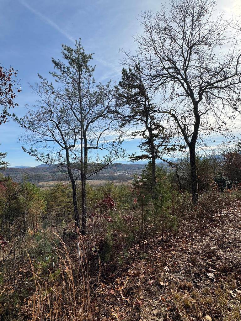 Murphy, NC 28906,000 Mistletoe Rdg