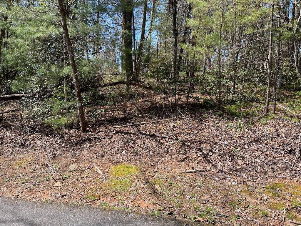 Hayesville, NC 28904,Lot 4E The Woodlands