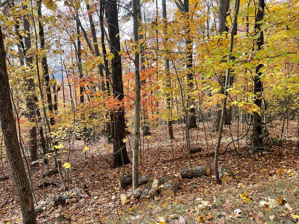 Hayesville, NC 28904,Lot 12B Grandview Drive