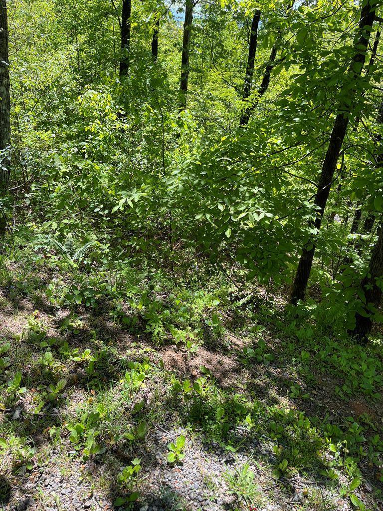 Hayesville, NC 28904,Lot 23M Ridges Fairway