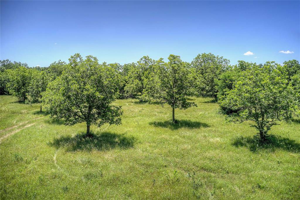 Lone Oak, TX 75453,TBD FM-1571