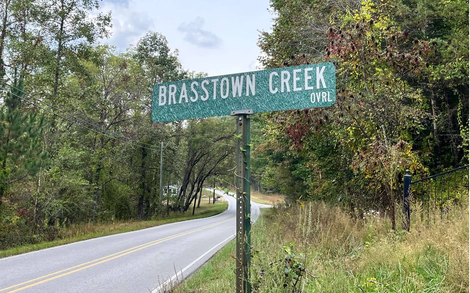 Brasstown, NC 28902,00 Brasstown Creek Ridg