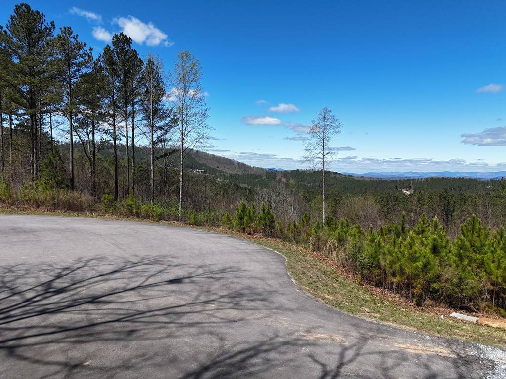 Blairsville, GA 30512,Lot 86 Thirteen Hundred