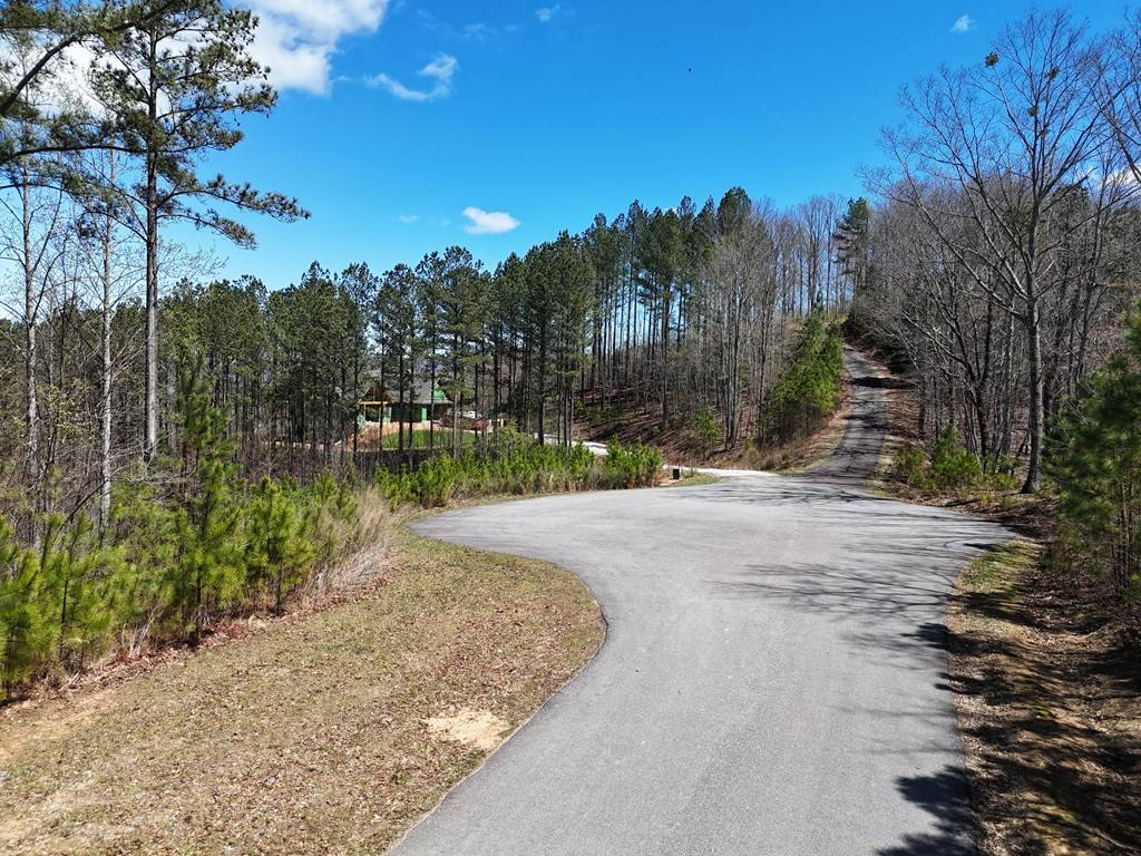 Blairsville, GA 30512,Lot 86 Thirteen Hundred