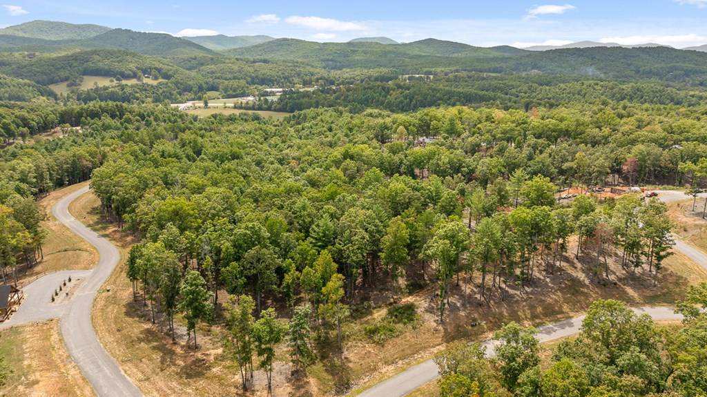 Morganton, GA 30560,Lot 161 Ridge Dr