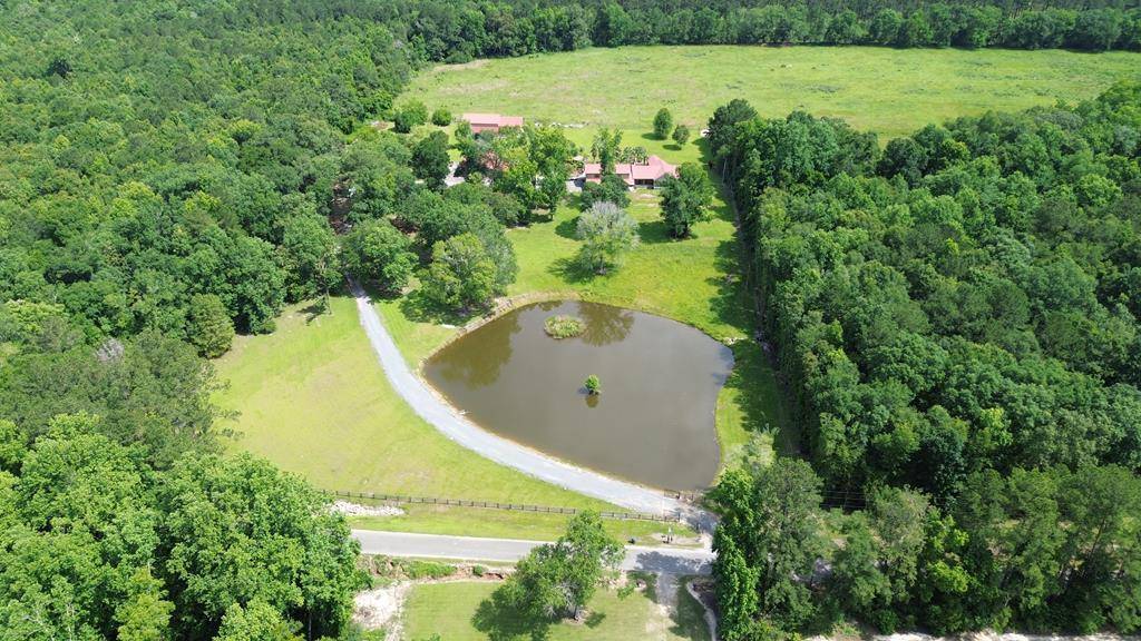 Cairo, GA 39828,761 Lewis Road  (10+/- Acres)