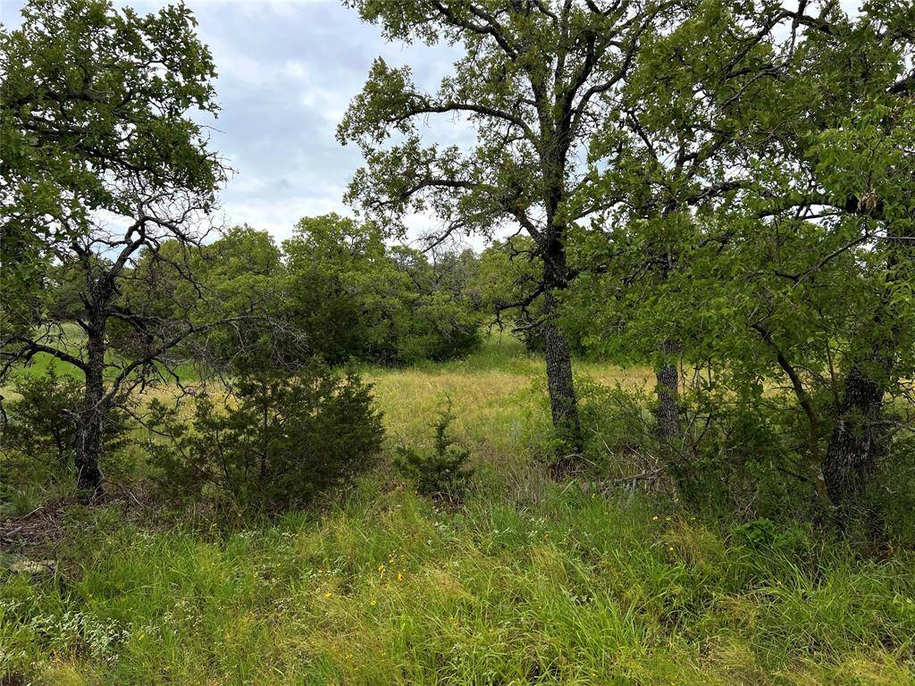 Mingus, TX 76463,Tbd White Wolf Court