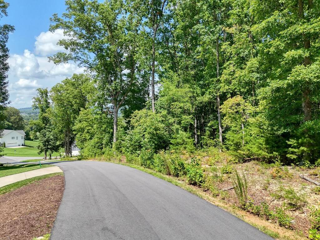 Blairsville, GA 30512,LOT 140 Reserve Road