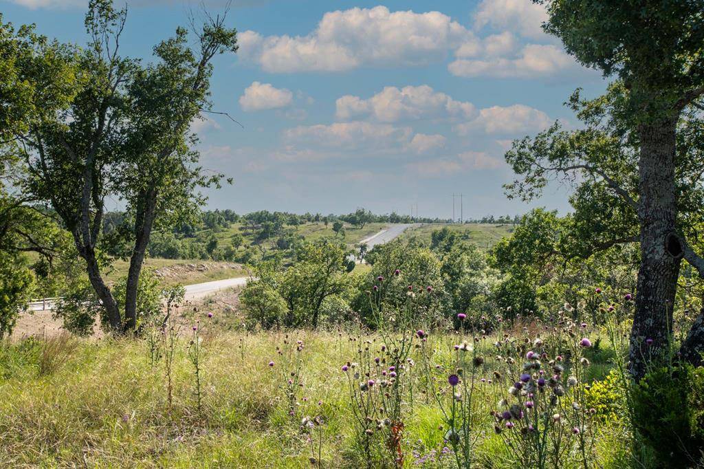 Fredericksburg, TX 78624,Lot 21 -- Canyon Dr.