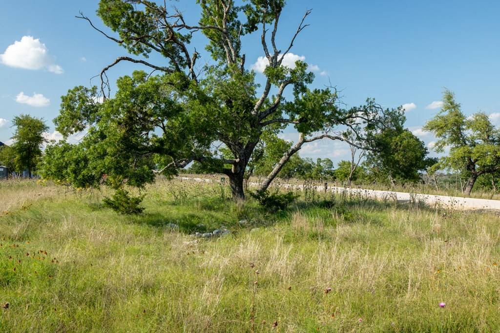 Fredericksburg, TX 78624,Lot 21 -- Canyon Dr.