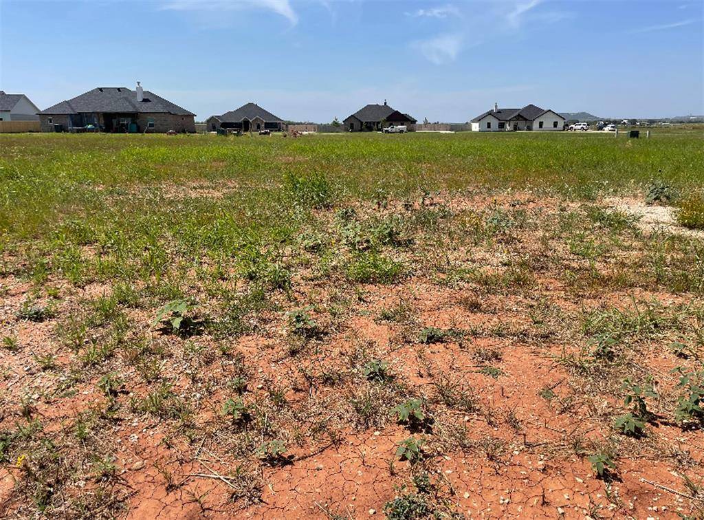 Tuscola, TX 79562,133 Sparrow Hills Lane