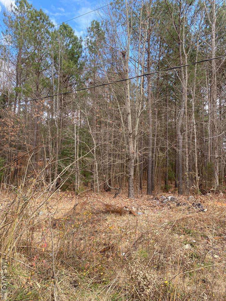 Roanoke Rapids, NC 27870,0 Deer Run Drive