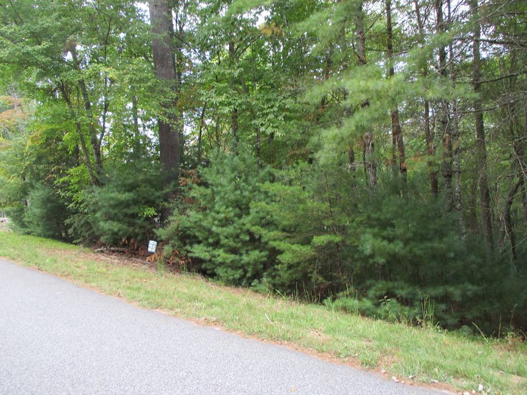 Blairsville, GA 30512,Lot 25 Byers Road