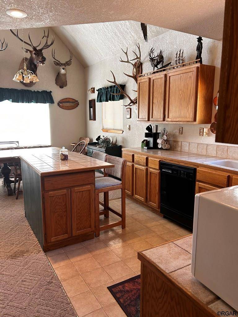 Westcliffe, CO 81252,66 W Hopi Road