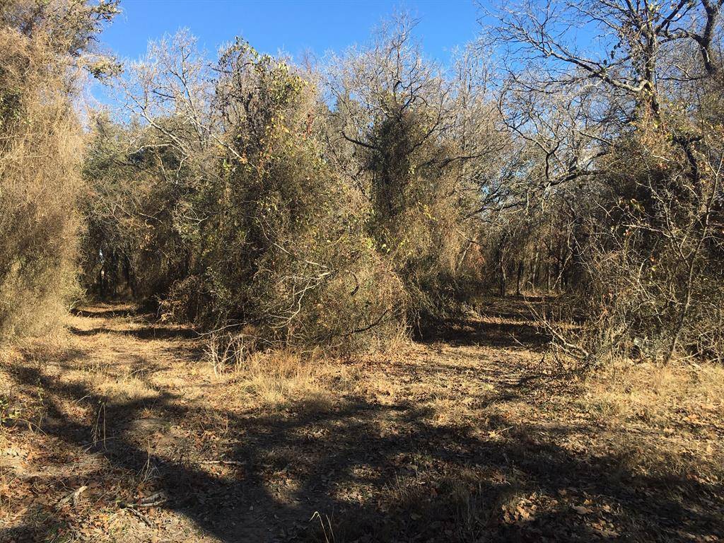 Sidney, TX 76474,TBD County Rd 181