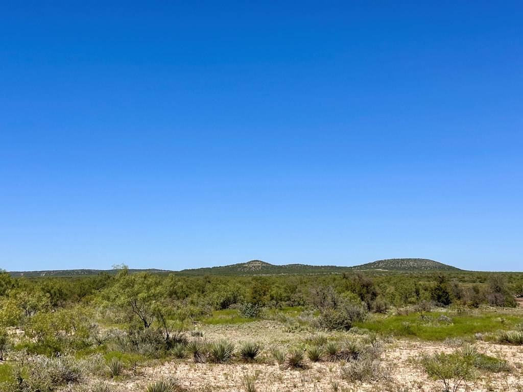 San Angelo, TX 76901,12015 Mule Deer Trail