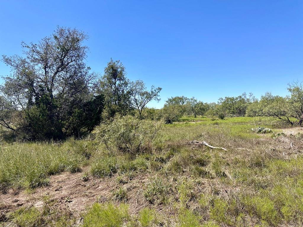 San Angelo, TX 76901,12088 Mule Deer Trail