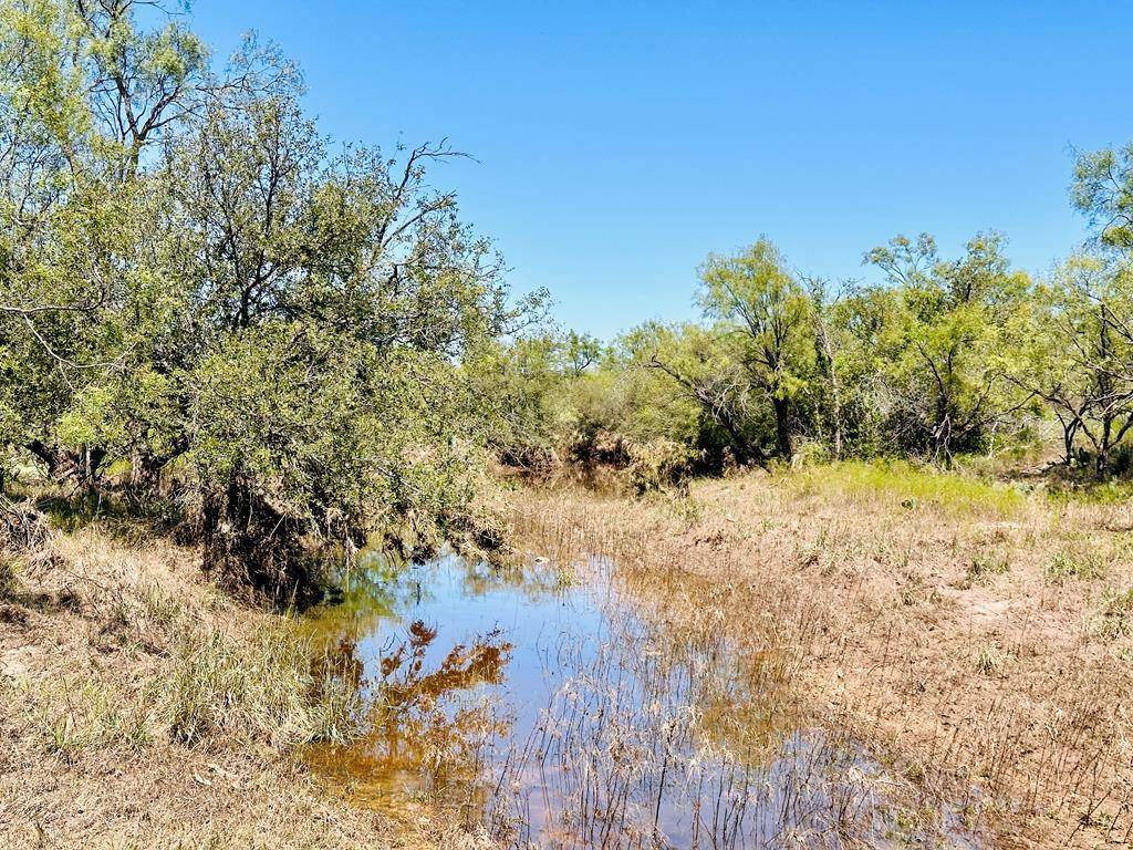 San Angelo, TX 76901,12088 Mule Deer Trail