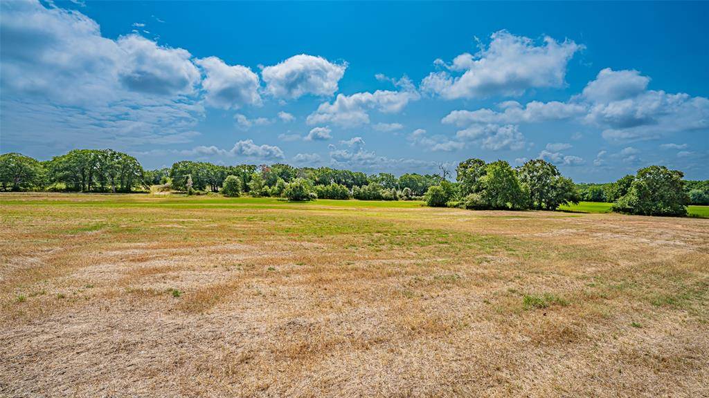 Azle, TX 76020,TBD 1 Briar Road