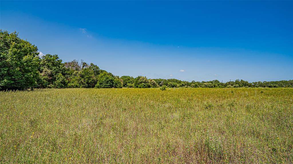 Azle, TX 76020,TBD # 4 Briar Road