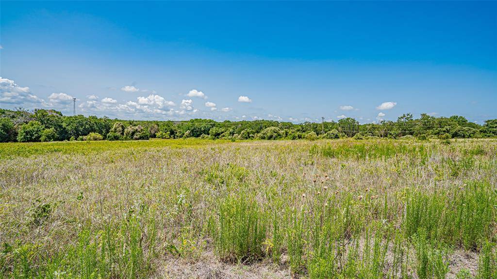 Azle, TX 76020,TBD # 5 Briar Road