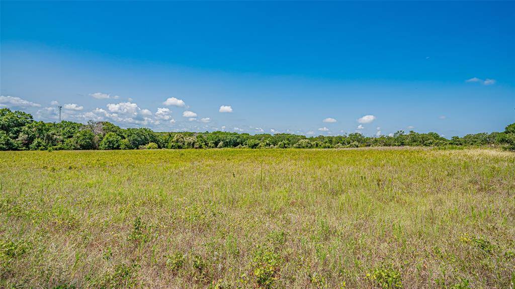 Azle, TX 76020,TBD # 5 Briar Road