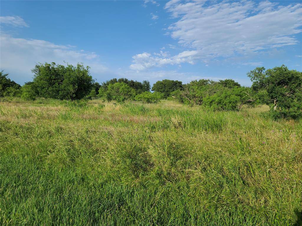 Brownwood, TX 76801,TBD Lot 31 Bear Path Way