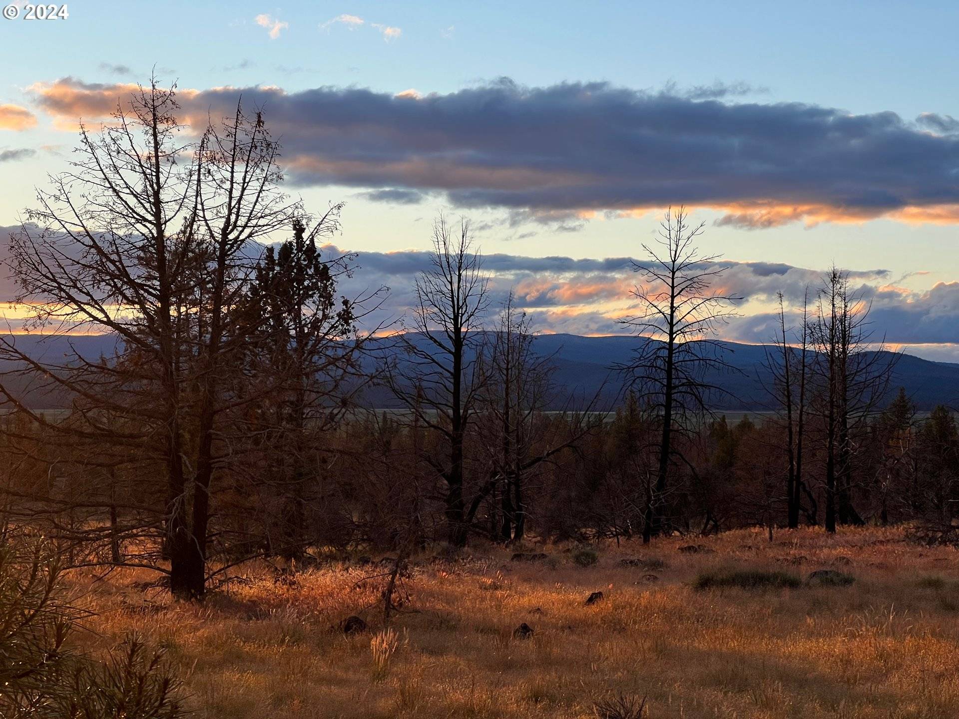 Paisley, OR 97636,Sycan Marsh Lot 2