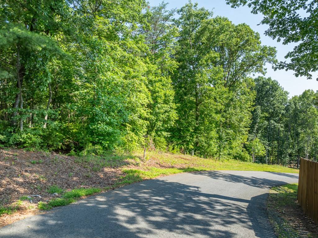 Blue Ridge, GA 30513,Lot 34 Winfield Circle