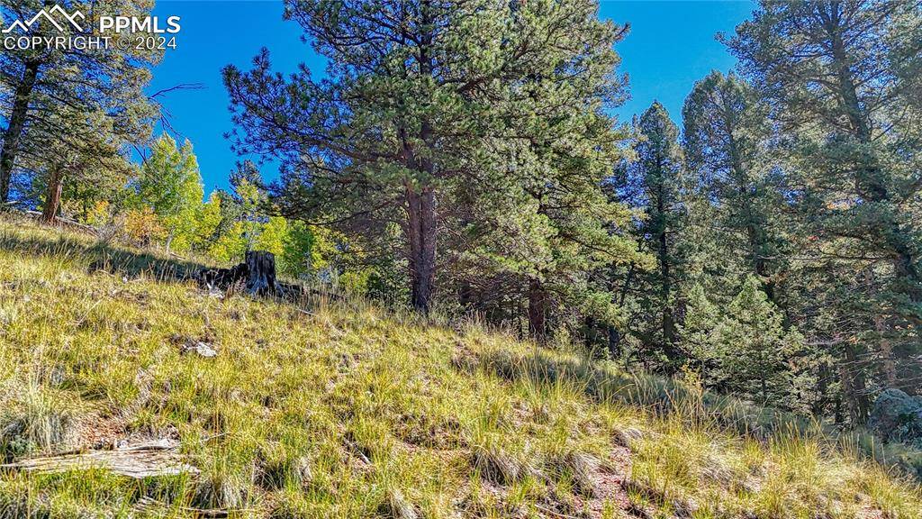 Cripple Creek, CO 80813,1058 Bennett DR