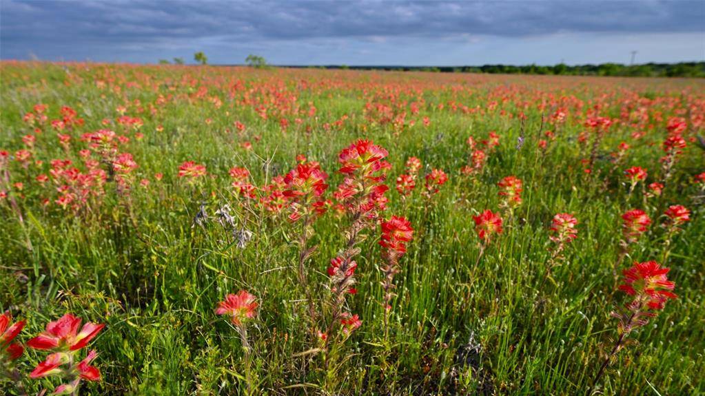 Nocona, TX 76255,3625 Red River Station Road