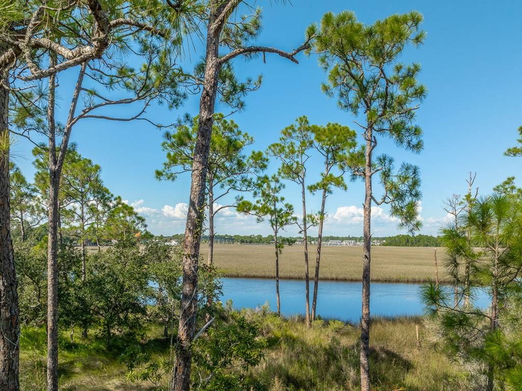 Carrabelle, FL 32322,141 Timber Island Rd