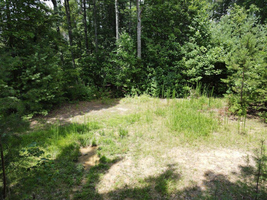 Morganton, GA 30560,Lot 3 Scouts Overlook Lane