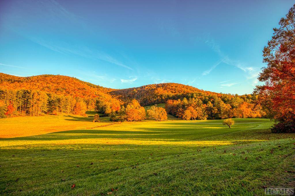 Cashiers, NC 28717,RT-8 Broadwing